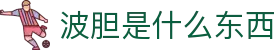 波胆赛果查询与比分走势分析-专业足球波胆数据解读